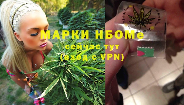 стаф Гусь-Хрустальный
