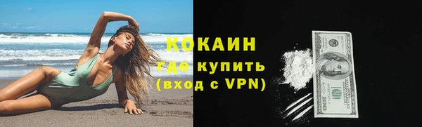СК Новодвинск