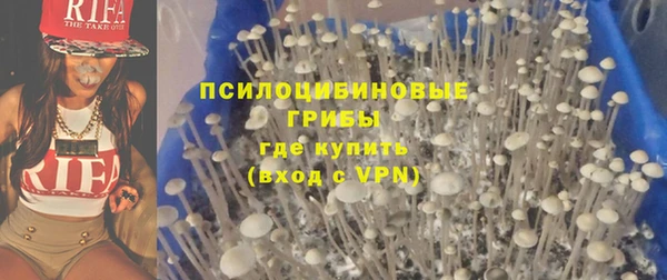 мескалин Гусев