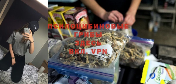 таблы Осинники