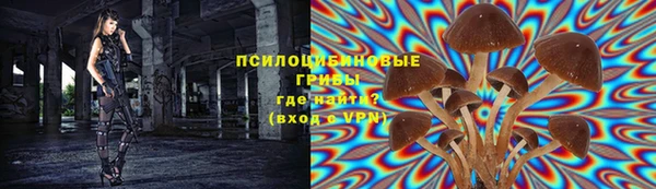 мескалин Гусев
