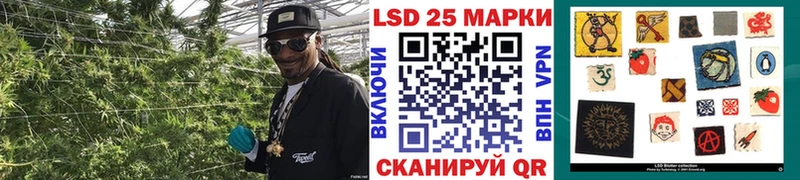 Наркотические марки 1,8мг  где купить наркоту  Озёры 